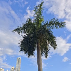 冲破枷锁，勇敢生长