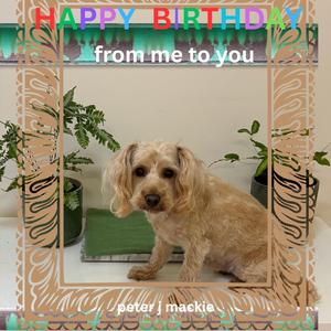 Happy Birthday from me to you