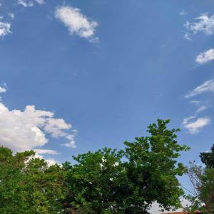 Onde andarei, lembrarei de você