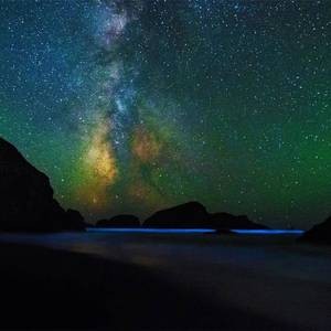 没有泪点（女版）