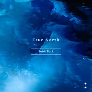 True North