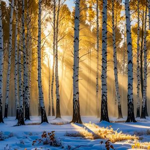 山河枕（钢琴曲）