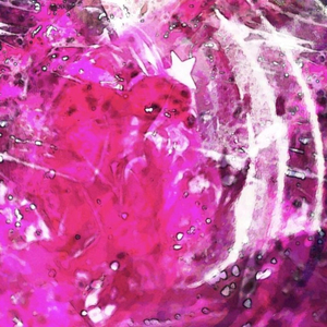 colors (feat. atmxs)