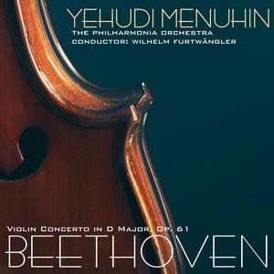 Violin Concerto in D Major, Op. 61: I. Allegro ma non troppo - cadenza (van Kreisler)