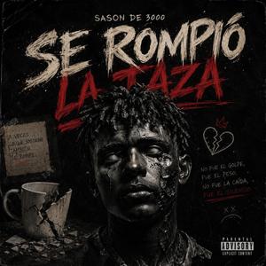 Se Rompio La T aza
