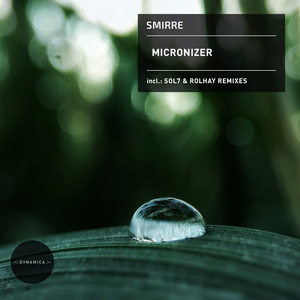 Micronizer (Original Mix)