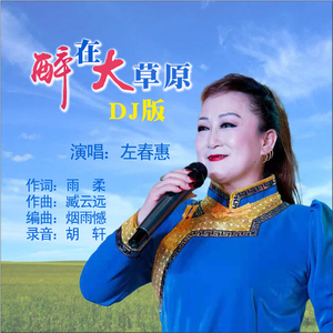 醉在大草原DJ版