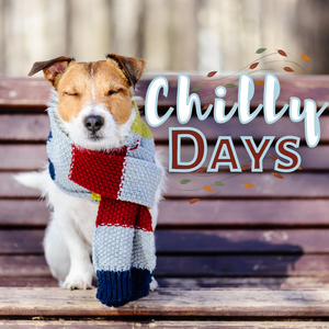 Come in from the Cold