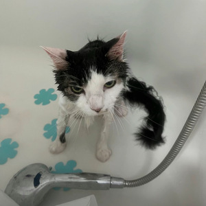 when i see u everybody disappears