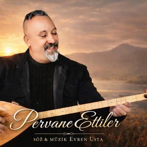 Pervane ettiler