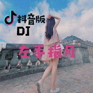 左手指月 (抖音DJ版) (翻自 萨顶顶)