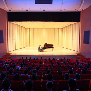 小雅迪想换大奥迪