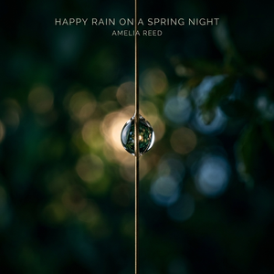 春夜喜雨钢琴独奏