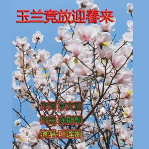 玉兰竞放迎春来(女声独唱)