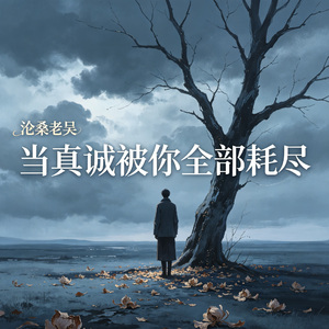 当真诚被你全部耗尽