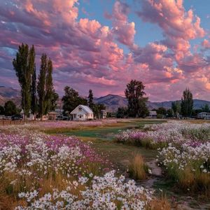 微风悠悠（古筝曲）