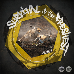 Frontwards [STBB 612]