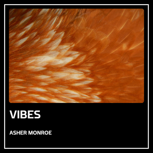 Vibes