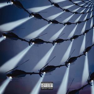 C 95 (feat. TY DA DALE & BABYMAINE)