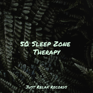 Serenity's Stillness