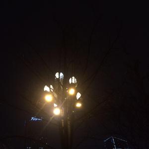 glommday2