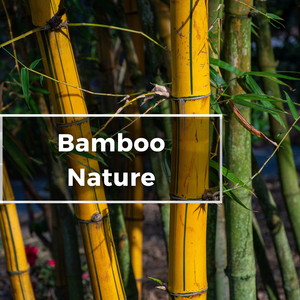 Healing Sounds of the Bamboo Nature Flute