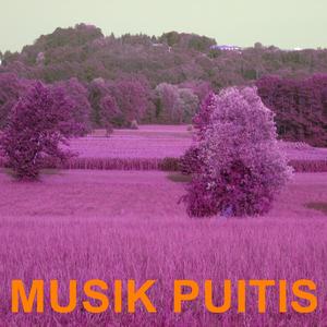 Musik Puitis