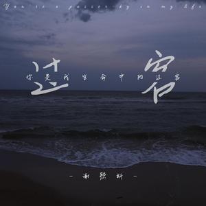 我是你生命的过客