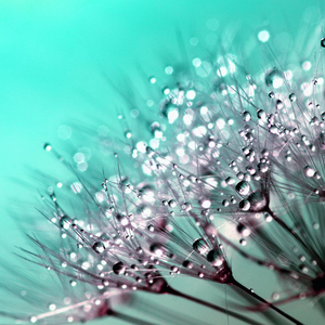 황혼의 빛에 대한 인식