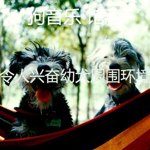 抚慰的幼犬回忆