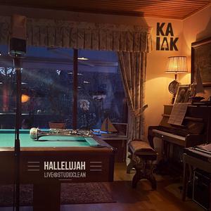 Hallelujah (feat. Magnus Johansson)