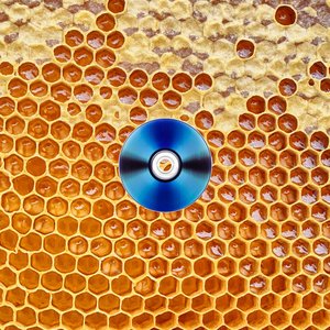 Atomology Cheap Home Organ