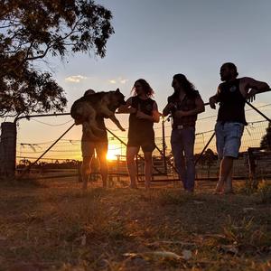 HUDDLED AROUND THE GASLIGHT