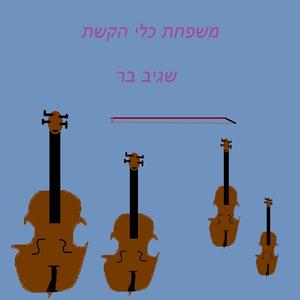 משפחת כלי הקשת