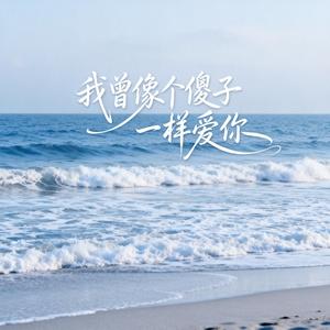 我曾像个傻子一样爱你