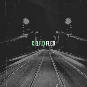 C.Q.F.D.