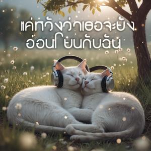 แค่หวังว่าเธอจะยังอ่อนโยนกับฉัน
