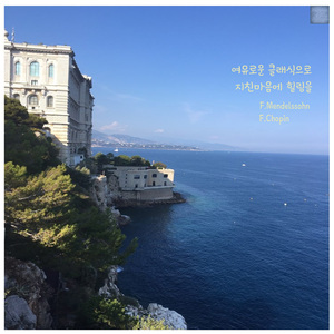 Chopin Etude in e flat minor, Op 10 No.6(황야)