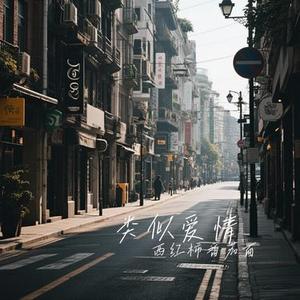 历史的天空 (Cover 毛阿敏)