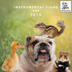 Purrs and Paws Piano Party III