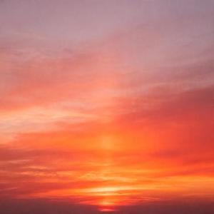 半生归来仍是少年