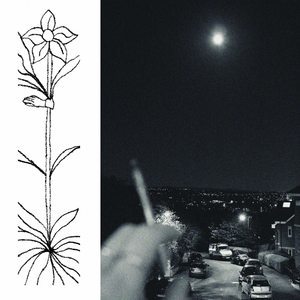 Oceanside Spider House