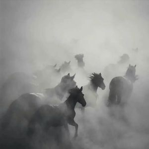 听妈妈的话（治愈系）