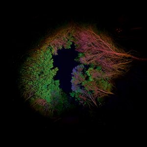 Hidden Island Music (Untitled #398)