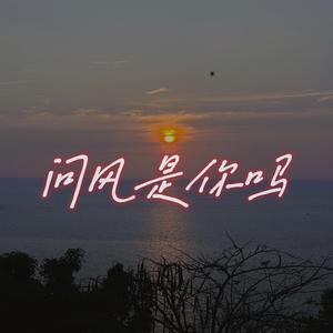 问风是你吗