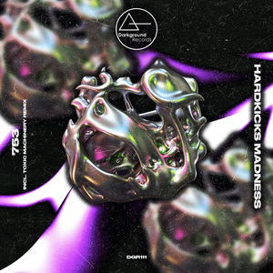 HardKicks Madness (Toxic Machinery Remix)