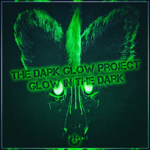 Rhythmic Glow (Original Mix)