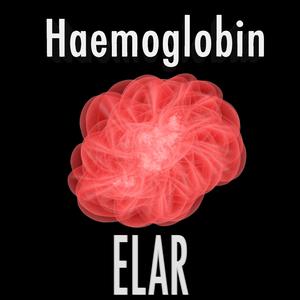 Haemoglobin