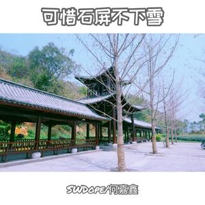 可惜石屏不下雪