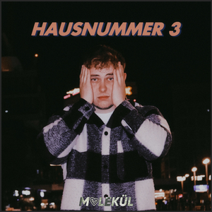 Hausnummer 3
